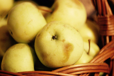 Yellow apples; Photo by StockSnap, Marcin Czaja