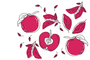 Illustration of Gloster apples; by Stefanie Kreuzer, b13 GmbH (CC BY-SA 4.0)