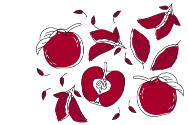 Illustration of Pink Lady apples; by Stefanie Kreuzer, b13 GmbH (CC BY-SA 4.0)