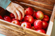 Hand grabbing apples in a wooden box; Photo by Pexels, Josh Hild