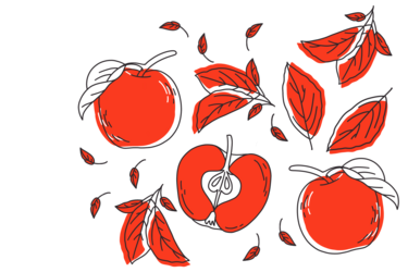 Illustration of Cox Orange apples; by Stefanie Kreuzer, b13 GmbH (CC BY-SA 4.0)