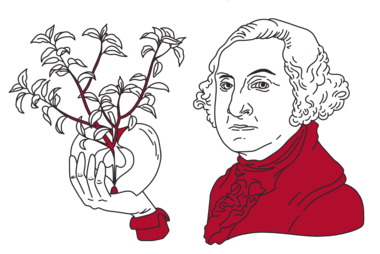 Illustration of George Washington holding an apple; by Stefanie Kreuzer, b13 GmbH (CC BY-SA 4.0)